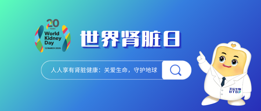 世界肾脏日科普② | 肾移植后的“免疫守护者”，免疫球蛋白了解一下